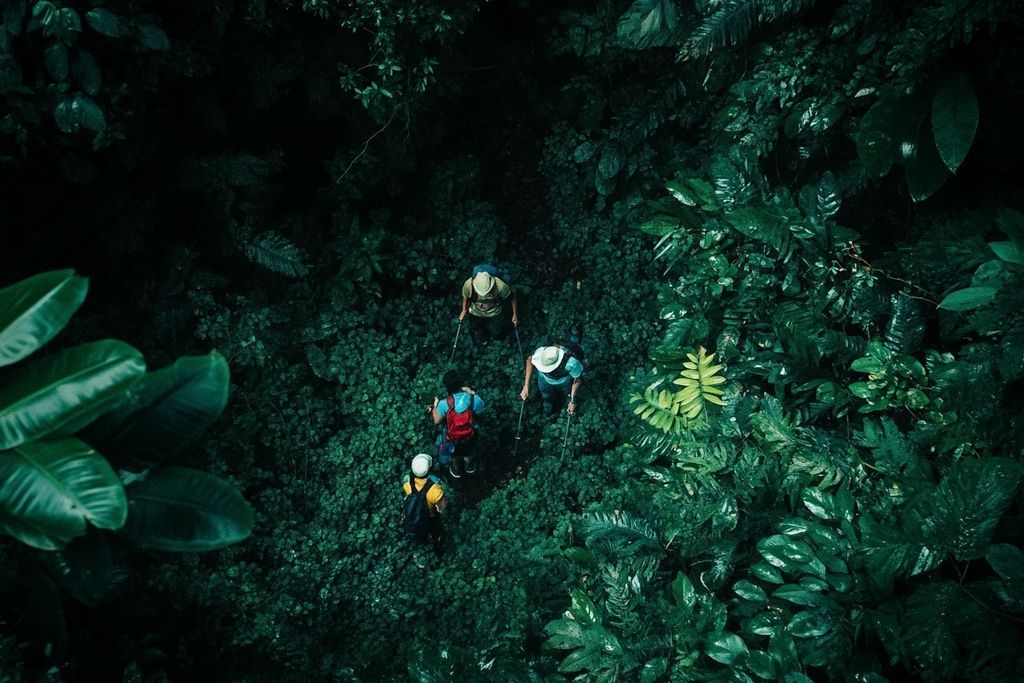 A.N.S Aventure Nature Survie : Renforcez votre équipe avec des stages de survie et des expéditions inoubliables en Amazonie !