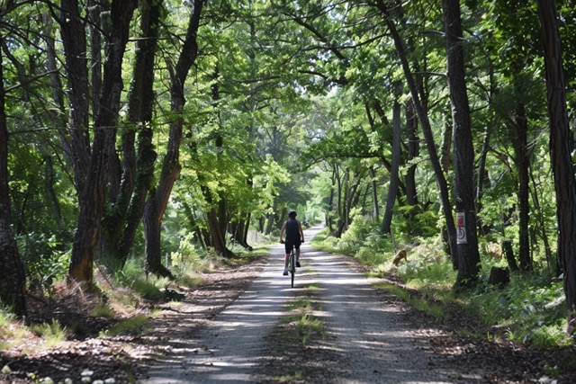 rallye velo team building vignoble medoc cohesion equipe 2