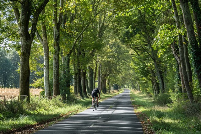 rallye velo team building vignoble medoc cohesion equipe 4