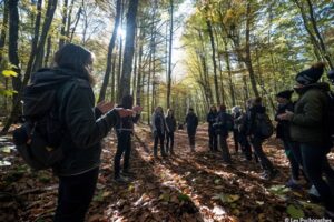 team building geant foret brignoles equipe psychopathes 1