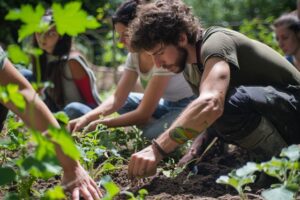 team building permaculture fontainebleau activite renforcement equipe innovante 1